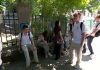 Cele două lumi din școala românească. Elevii fac proiecte cu IA, în timp ce Ministerul se gândește cum să o folosească