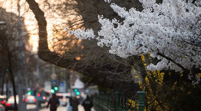 ANM: Temperaturi uşor mai ridicate decât cele specifice perioadei, în vest, nord-vest şi centru, şi apropiate de cele normale, în rest, până la finalul lunii mai
