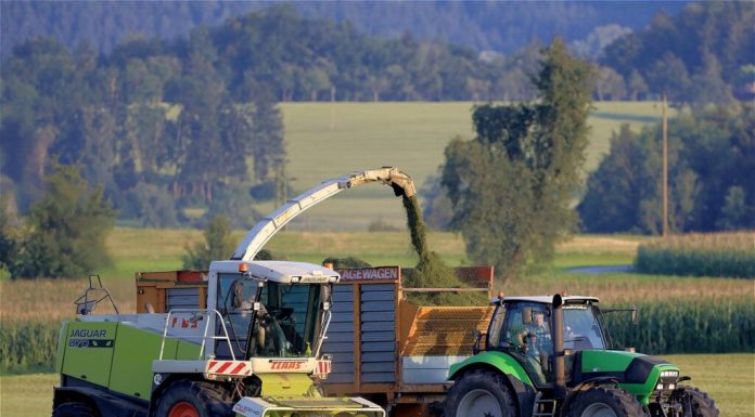 Procurorii UE anchetează Croația în legătură cu o presupusă fraudă privind fondurile agricole