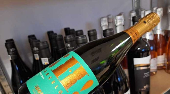 Vinul zilei: o cava excelentă, cu note florale și accente citrice, un vin frumos construit, savuros alături de fructe de mare, sushi sau deserturi ușoare