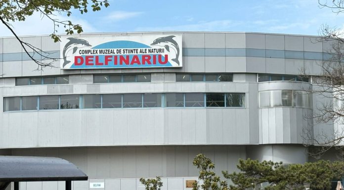 Zeci de copii și părinți au ales să meargă la Delfinariul din Constanța în a doua zi din minivacanța de 1 mai