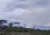 Incendiu de vegetație în Caraș-Severin. Elicopter Black Hawk, trimis să stingă focarele din Slatina-Timiș
