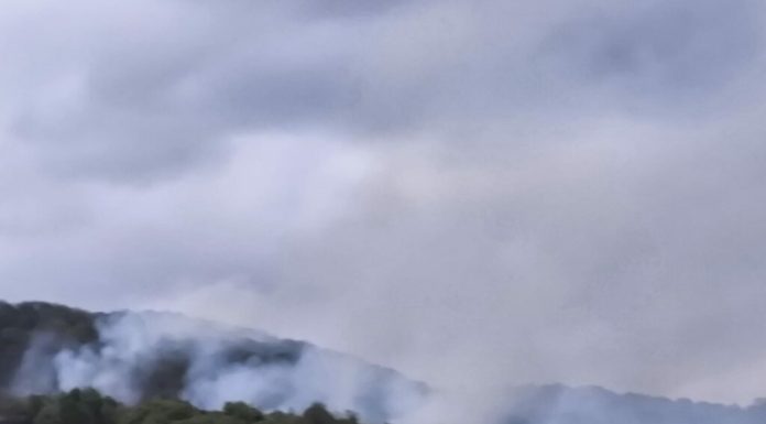 Incendiu de vegetație în Caraș-Severin. Elicopter Black Hawk, trimis să stingă focarele din Slatina-Timiș