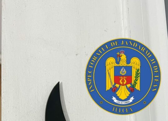 Tânăr descoperit cu un cuțit la un festival din Tulcea