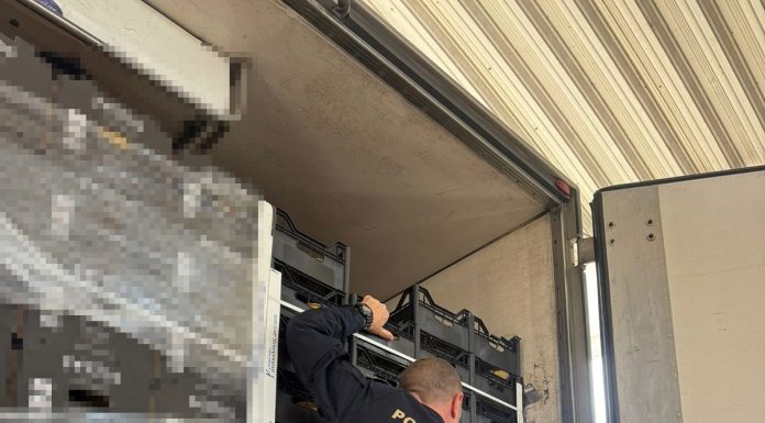 Giurgiu: Poliţiştii de frontieră au capturat peste şapte milioane de ţigarete ascunse într-un transport de citrice / Valoarea acestora este de două milioane de euro