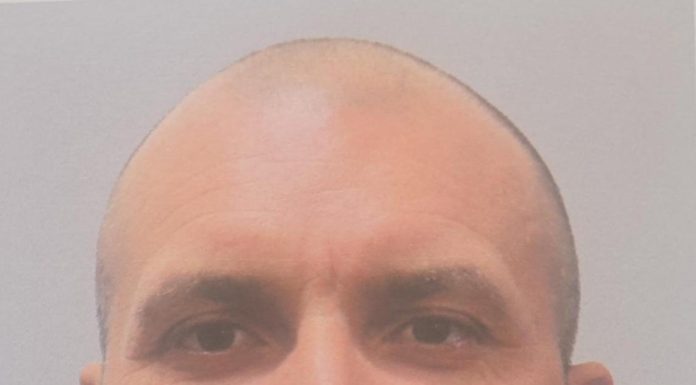 Bihor: Bărbatul suspectat că a ucis-o pe eleva de 18 ani, prins în apropiere de locul crimei