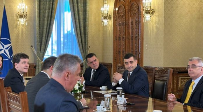 George Simion, după consultările cu Nicușor Dan de la Cotroceni: ”Ne asumăm intrarea la guvernare. Am cerut mandat pentru formarea unei guvernări”