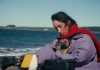 Vedeta Festivalului de la Cannes: Yuri, o cățelușă salvată dintr-un adăpost