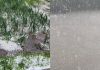 Alertă de fenomene meteo extreme. Codul portocaliu face deja prăpăd în Moldova