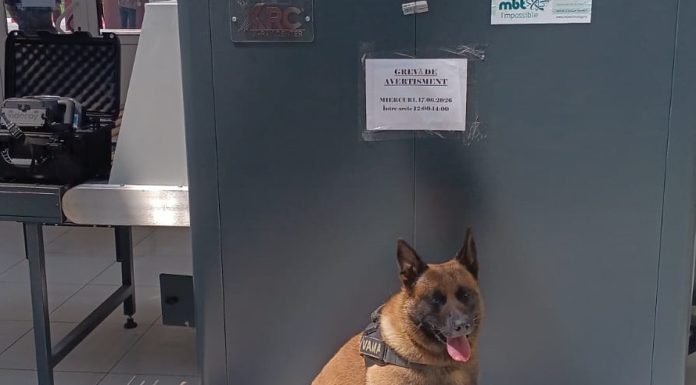 FOTO Nou președinte la Vamă – Șefa corpului de control al Ministerului Finanțelor a fost numită pe post. Are de rezolvat în prima zi o grevă de avertisment de două ore a vameșilor