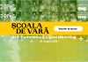 Școala de Vară GPeC 26 – 30 august 2026: 4 zile de cursuri de E-Commerce și Digital Marketing, networking și inspirație