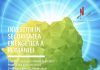 Nuclearelectrica: Avem nevoie de accelerarea proiectelor nucleare cu reactoare noi, mari și mici