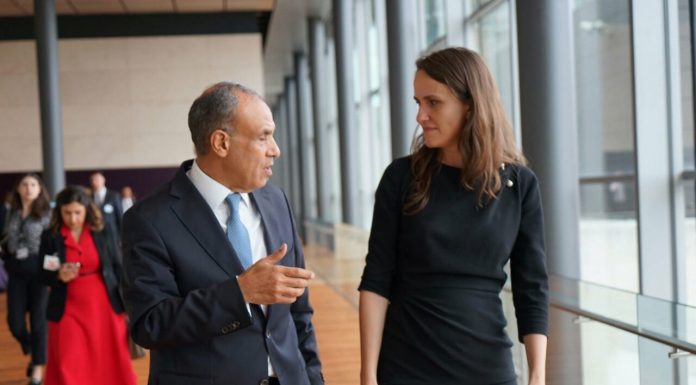 România vrea mai multe exporturi și investiții în Egipt. Oana Țoiu anunță planuri pentru un acord de liber schimb cu Cairo