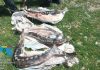 Garda de Mediu a aplicat amenzi de peste 1,7 milioane de lei în Delta Dunării – 5 măsuri de suspendare a activităţii şi două sesizări penale