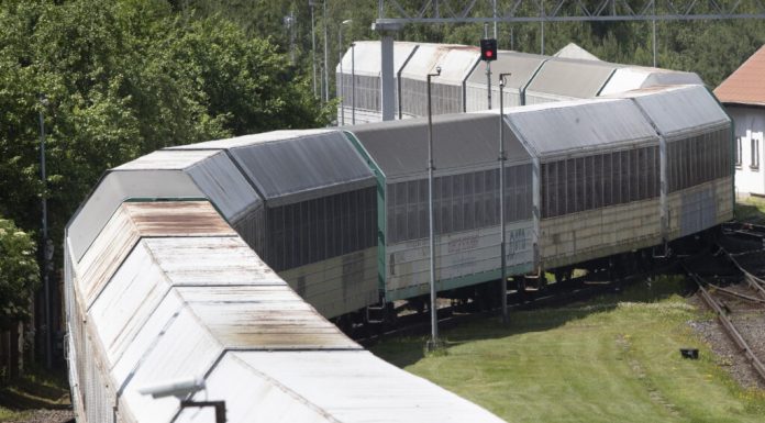 Un dezertor rus care a sărit dintr-un tren aflat în mișcare riscă acum să fie deportat din Franța