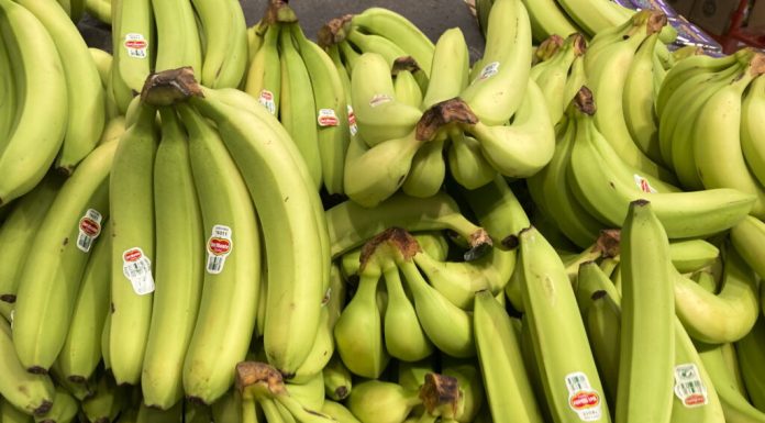 O banană de milioane de dolari a fost furată dintr-un muzeu din Franța. Povestea celebrei opere de artă