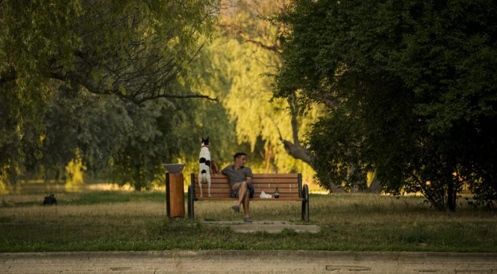 Procesul pentru zona retrocedată din Parcul IOR se amână din nou. Dosarul va fi trimis la un alt complet al Tribunalului București