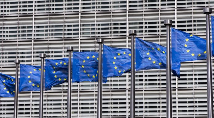 Franța și Germania propun „integrarea graduală” a țărilor candidate la UE, pe fondul frustrărilor din Balcanii de Vest