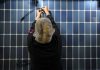 Premieră în SUA: energia solară a depășit cărbunele, în ciuda sprijinului acordat de Trump industriei miniere
