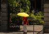 ANM: Vreme călduroasă și disconfort termic ridicat în București, urmate de furtuni cu grindină și vijelii. Prognoză specială până miercuri
