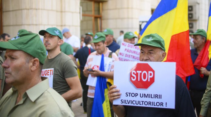 Federația SILVA cere eliminarea prevederii ce anulează compensarea sporului de risc prevăzută de Codul silvic