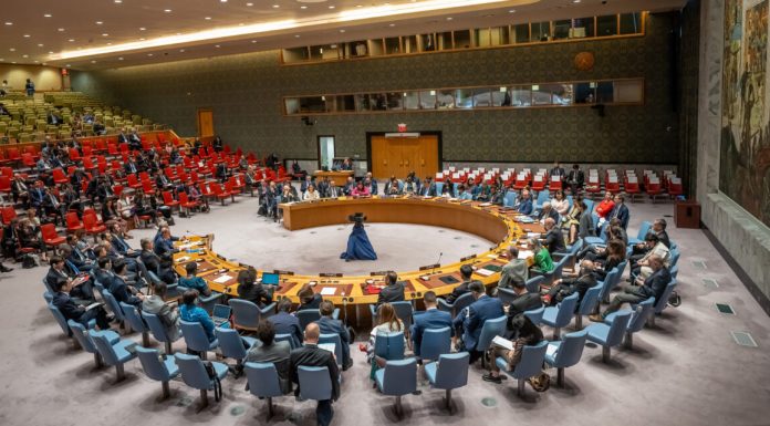 Lovitură dură pentru Berlin. Germania ratează obținerea unui loc în Consiliul de Securitate al ONU. Statul din Asia care a produs marea surpriză