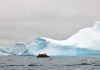 Sute de cutremure, descoperite cu ajutorul IA într-un loc neașteptat din Antarctica