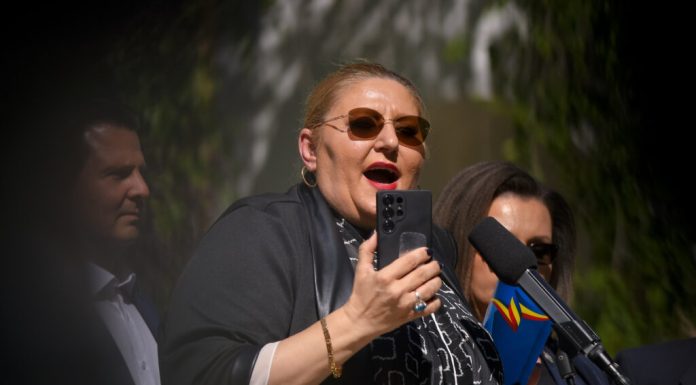 Cum vede Diana Șoșoacă ieșirea din criza politică: Guvern minoritar SOS-AUR sau anticipate
