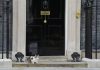 Mai rezistent decât premierii britanici. Larry, motanul de la Downing Street, bifează încă un mandat