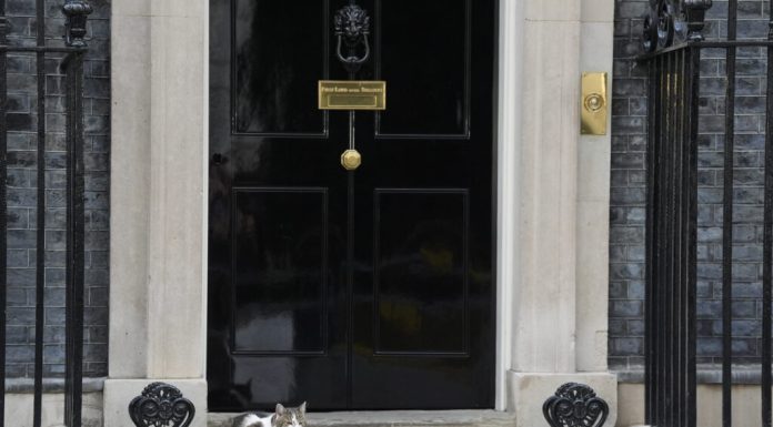 Mai rezistent decât premierii britanici. Larry, motanul de la Downing Street, bifează încă un mandat