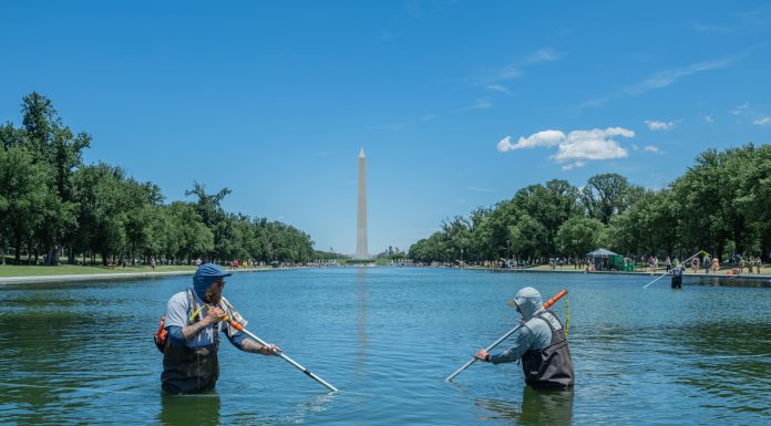 Bazinul reflectorizant de la Memorialul Lincoln s-a înverzit și se degradează. Trump acuză acte de vandalism: „Oameni dereglați”