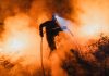 Paradox climatic: incendiile puternice de vegetație lovesc zone bogate, însă suprafața arsă la nivel global a scăzut