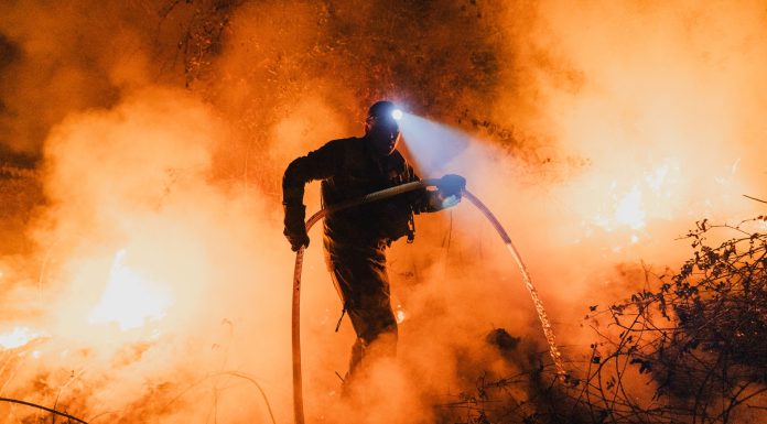 Paradox climatic: incendiile puternice de vegetație lovesc zone bogate, însă suprafața arsă la nivel global a scăzut