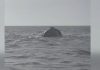 Trupul unui marinar dispărut după scufundarea remorcherului la Midia a fost găsit. Continuă misiunea de recuperare a navei