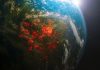 Viziune pentru viitorul planetei: cercetătorii conturează un plan global de supraviețuire. „O lume echitabilă și locuibilă e posibilă”