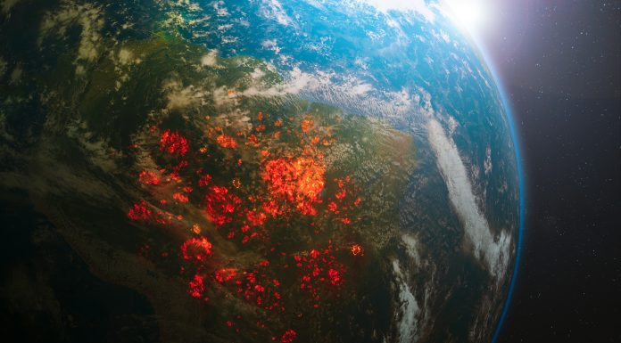 Viziune pentru viitorul planetei: cercetătorii conturează un plan global de supraviețuire. „O lume echitabilă și locuibilă e posibilă”