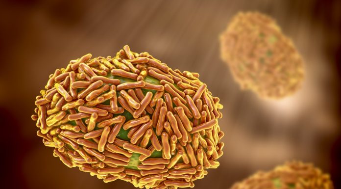 Doi cercetători au fost reținuți în SUA pentru că au încercat să introducă virusul mpox inactivat, adus din Africa