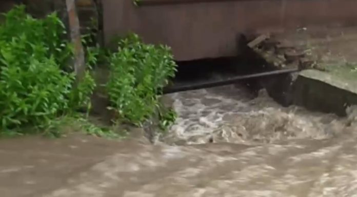 Rupere de nori în județul Buzău: drumuri afectate, pod închis temporar și terenuri agricole inundate