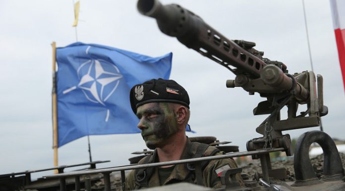 NATO implică sectorul privat în lupta cu agresiunea hibridă a Rusiei: „Scopul e să nu mai jucăm jocul «lovește-cârtița»”