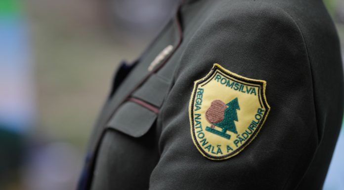 Silvicultorii cer ca veniturile lor să fie protejate: „Noua lege a salarizării va conduce la reducerea lor cu 25%”