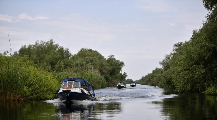 Senatul a votat o lege care limitează la 5 km/h viteza bărcilor în Delta Dunării. Ce amenzi riscă cei care depășesc limita