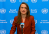 Oana Ţoiu, după Consiliul de Securitate al ONU: Comunitatea internaţională arată că o încălcare flagrantă nu trebuie să fie tolerată