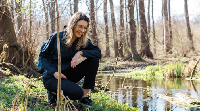 Diana Buzoianu, sesizare penală: 250.000 de puieţi care trebuiau plantaţi, existau doar pe hârtie. „Aşa se fură pădurile viitoare”