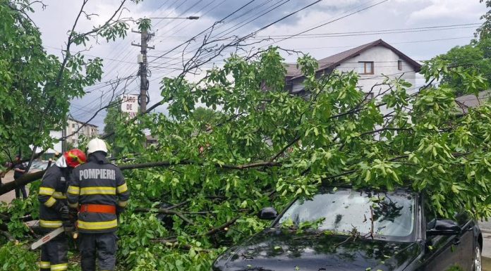 Ploile torențiale și vijeliile au provocat pagube în 15 județe și în București. Zeci de intervenții ale pompierilor
