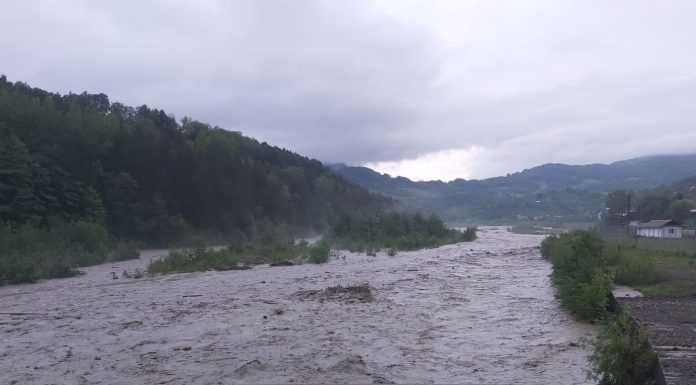 Ploile fac ravagii în Vrancea și Neamț: persoane evacuate, sate afectate și pod avariat în Grințieș