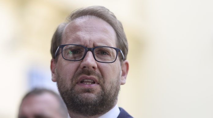 Dominic Fritz: Se doreşte refacerea Guvernului Ciolacu-Ciucă. Noi nu vom gira aşa ceva