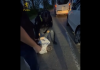 Un bărbat viral pe TikTok care îi cerea lui Putin să invadeze Chișinăul a fost reținut la întoarcerea în Moldova din Germania