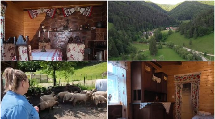 Vacanță la țară, în casele localnicilor. Platforma care deschide porțile gospodăriilor pentru oaspeți: „Vai de mine, cu toată plăcerea”