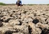 ONU avertizează asupra revenirii iminente a fenomenului El Nino. Antonio Guterres: „Va turna gaz pe focul încălzirii globale”