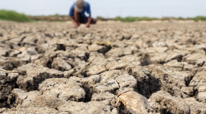 ONU avertizează asupra revenirii iminente a fenomenului El Nino. Antonio Guterres: „Va turna gaz pe focul încălzirii globale”